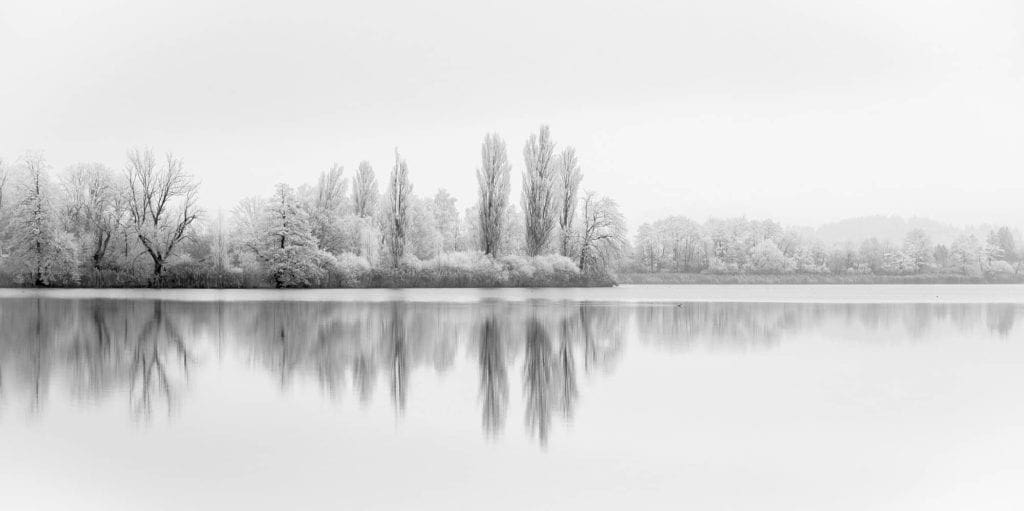 Winter Lake Landscape