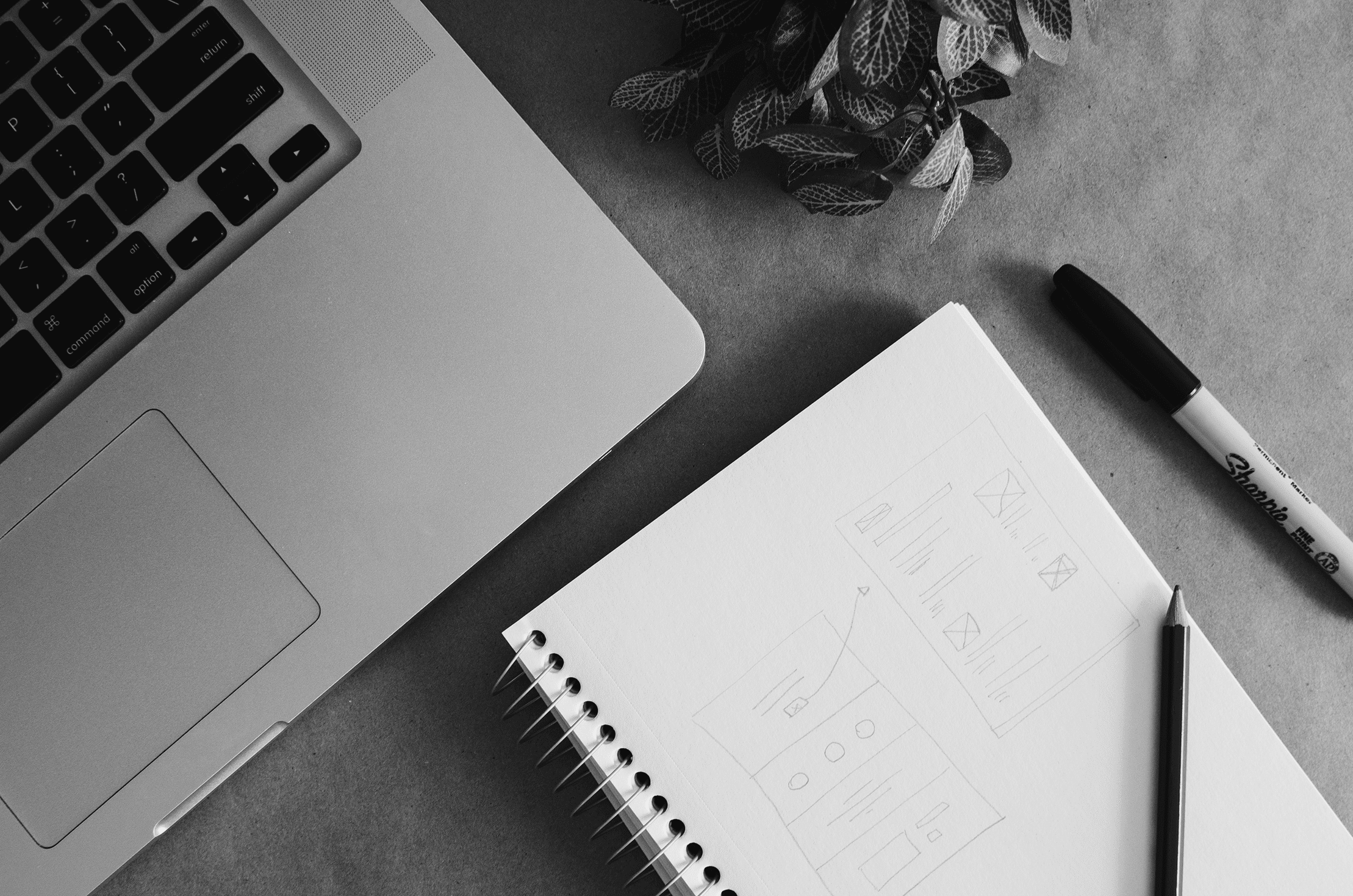 Mac Book Laptop next to website plans